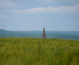 June 2013 Santo Domingo de la Calzada rising up from the wheat